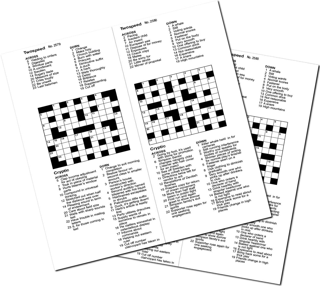 Image 1 for 20 TWOSPEED CROSSWORDS BOOKLET 16